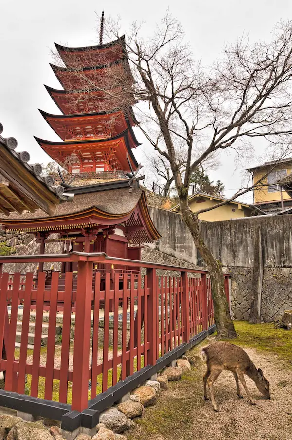 Araebisu Shrine, Pagoda, Deer